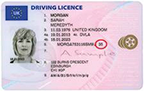photo of woman's drivers licence